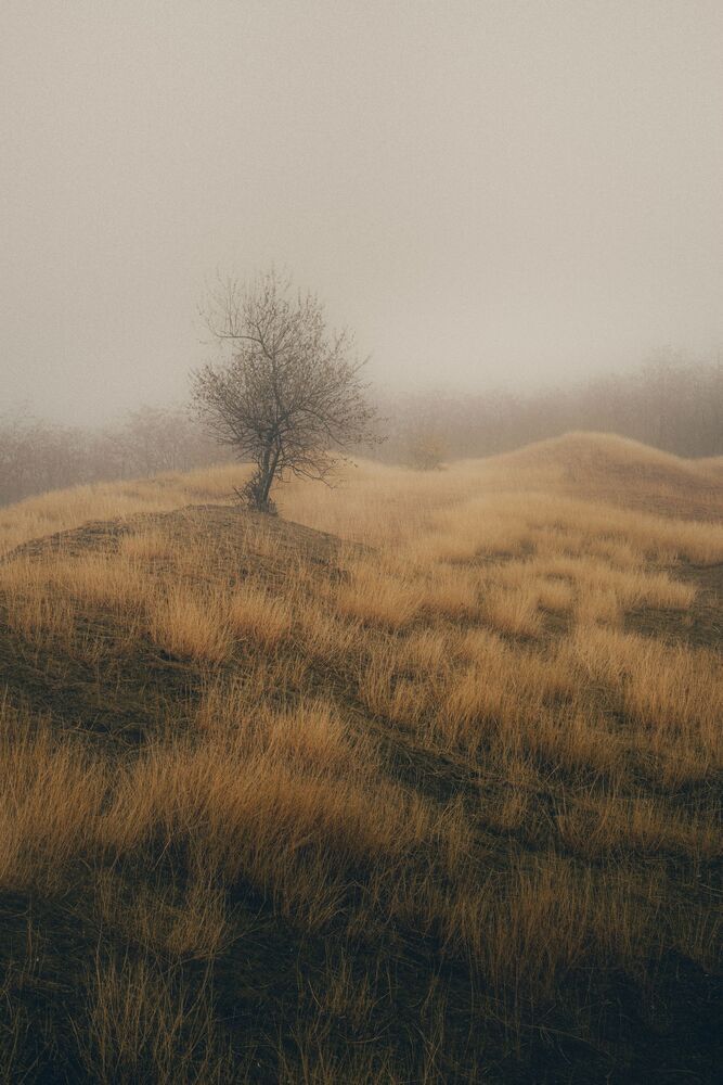 Фотография автора Олег Сухенко