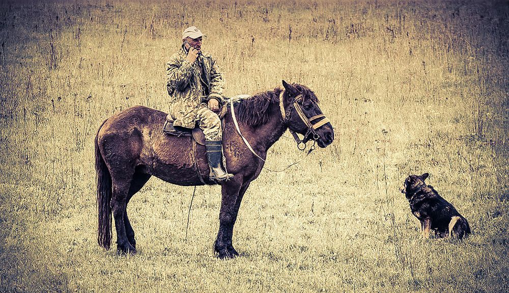 современый пастух