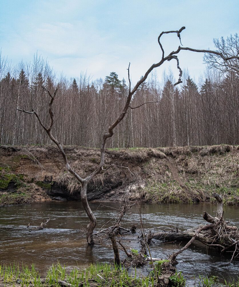 Фотография автора Aliaksandr Shautsou
