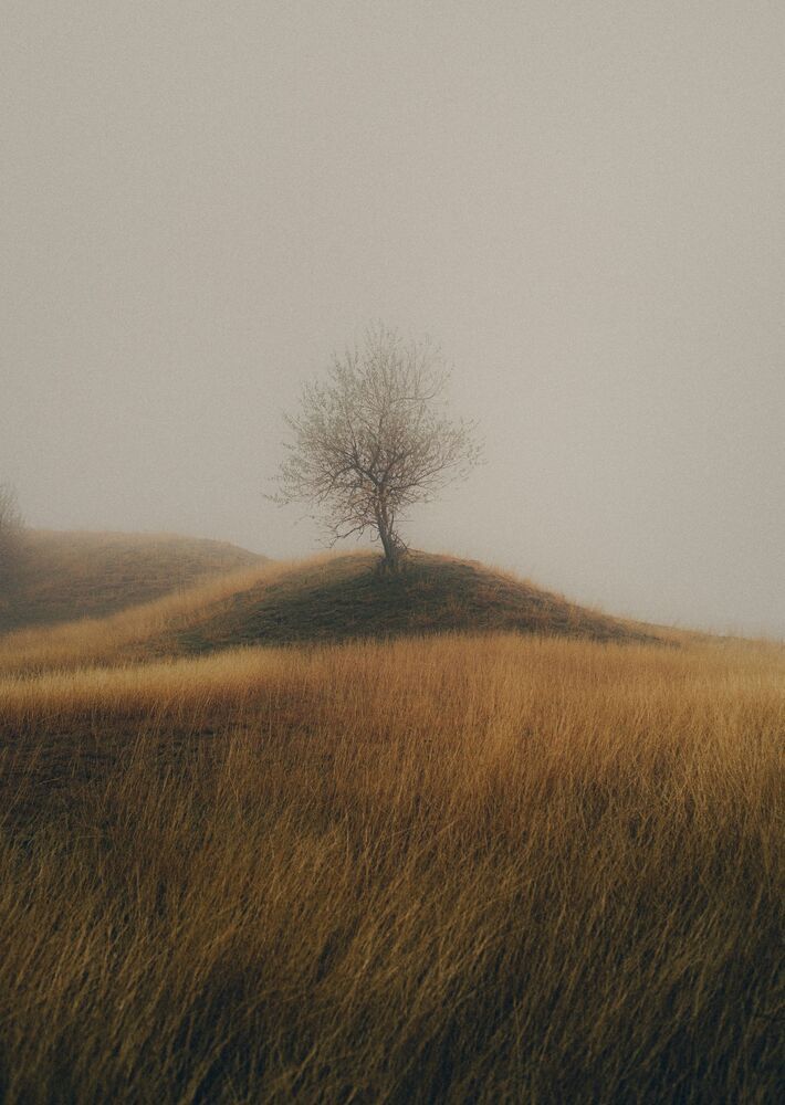 Фотография автора Олег Сухенко
