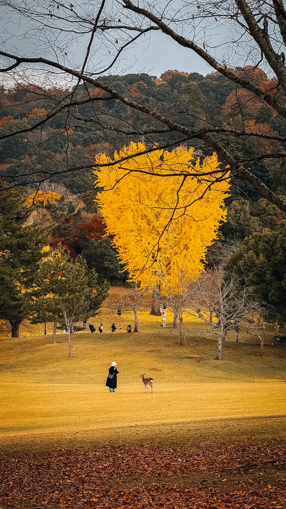 Photo #13243036