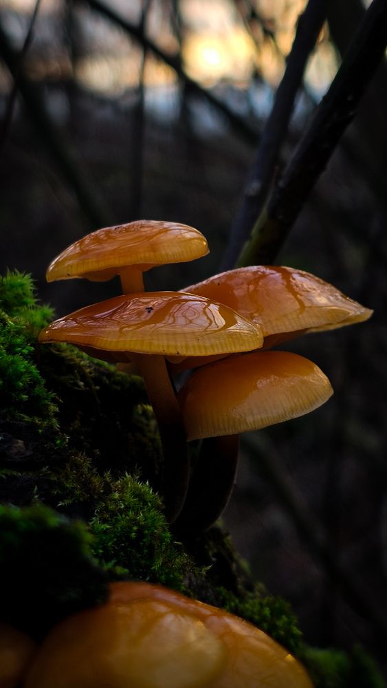 Photograph by Катя Черникова