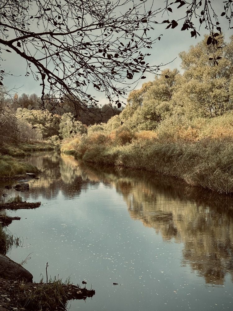 Photograph by наталья ионова