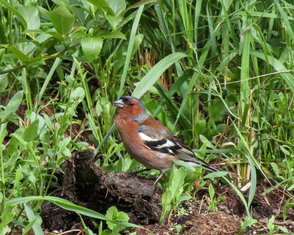 Photograph by Екатерина Горчилина