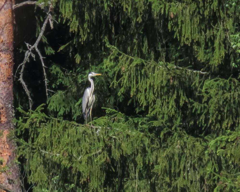 Photograph by Екатерина Горчилина