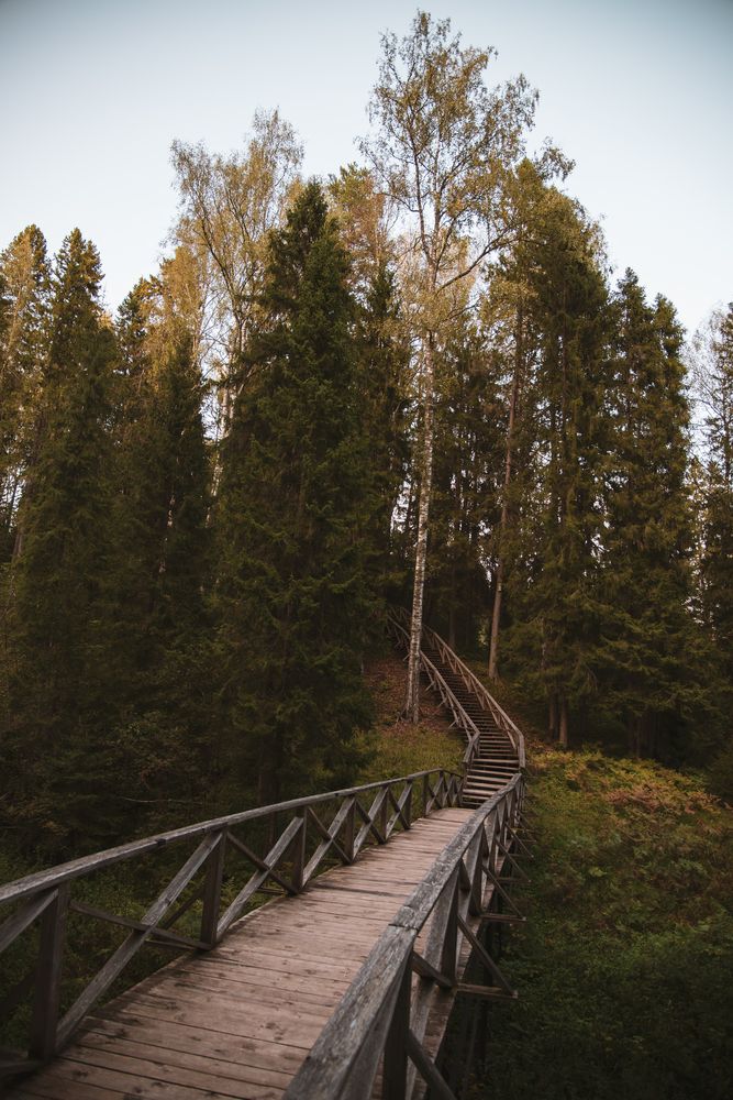 Фотография автора Войнов Дмитрий