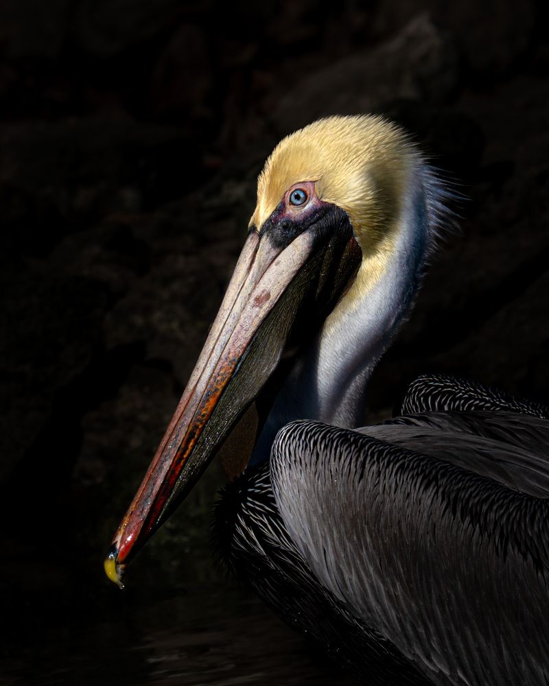Photograph by George Voronetsky