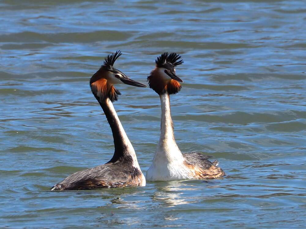 Photograph by Елена Синицына