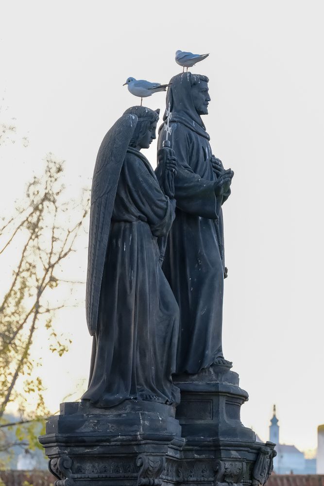 Photograph by Elena Dzasokhova