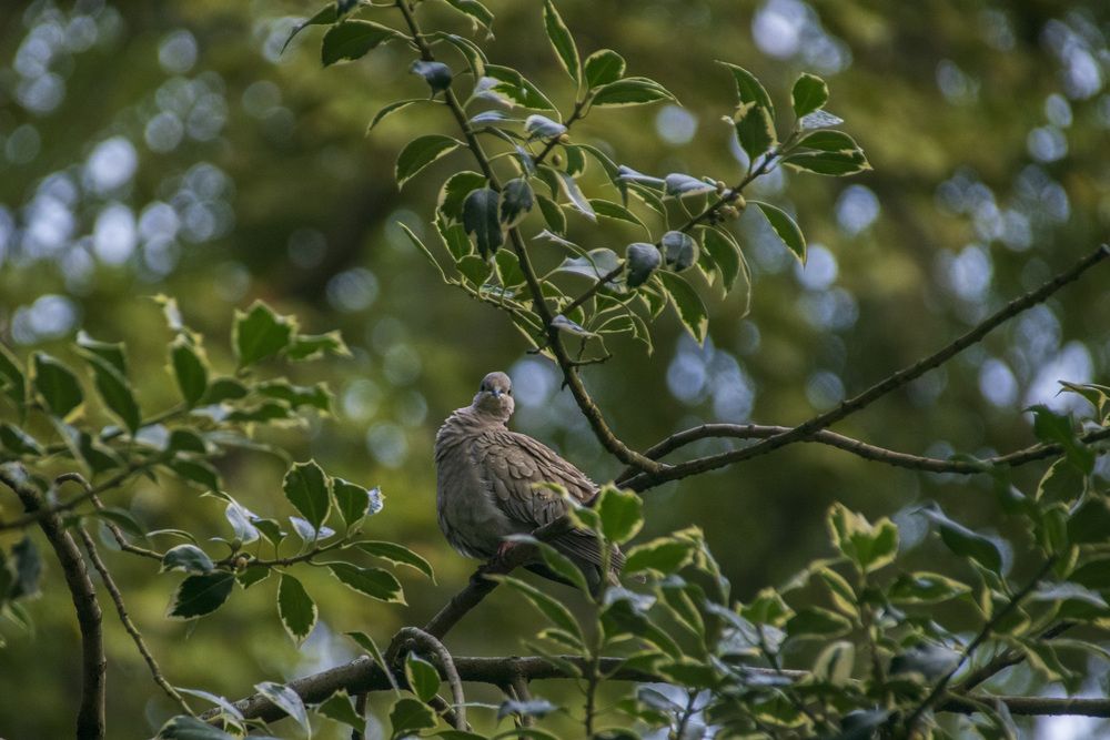 Photograph by Надежда Михайлина