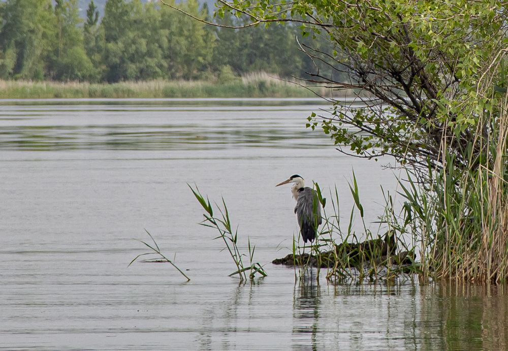 Photograph by Андрей Злобин