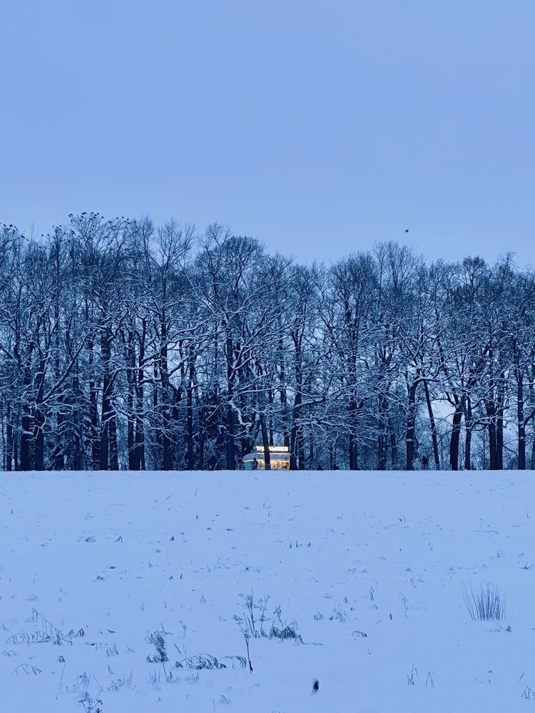 Photograph by Karina Volynskaya