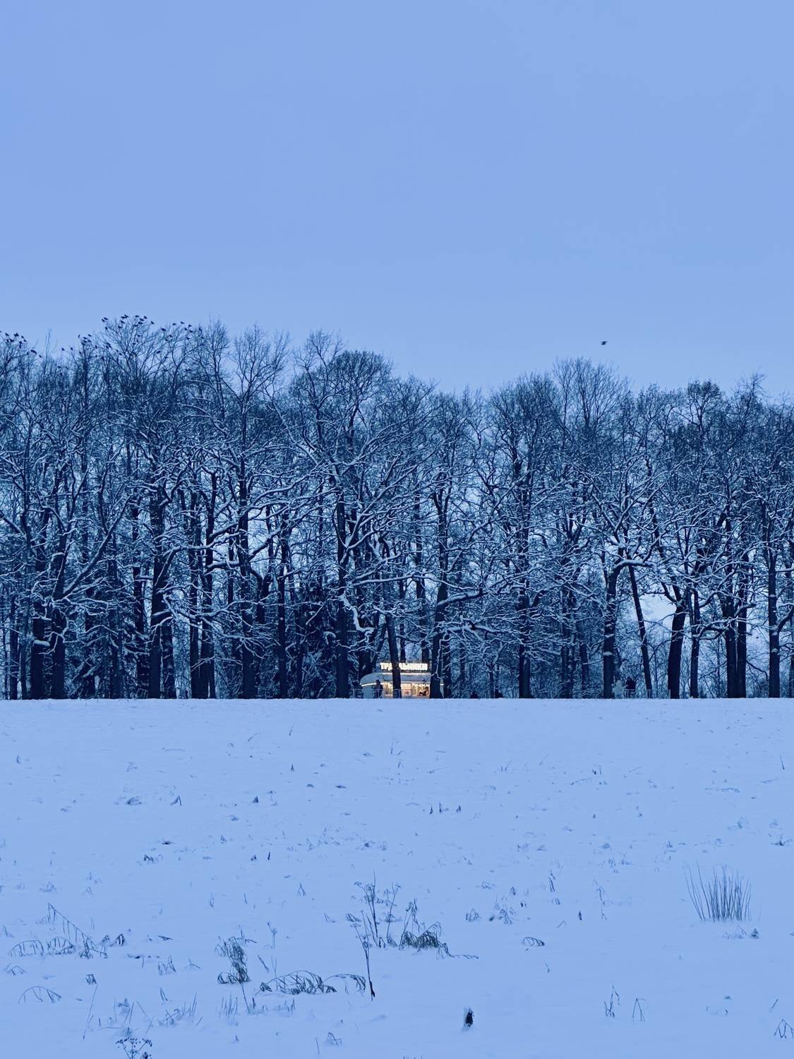 Photo #13243240