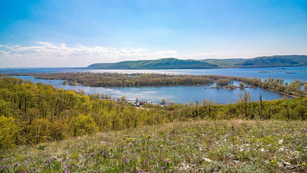Фотография автора Андрей Кривов