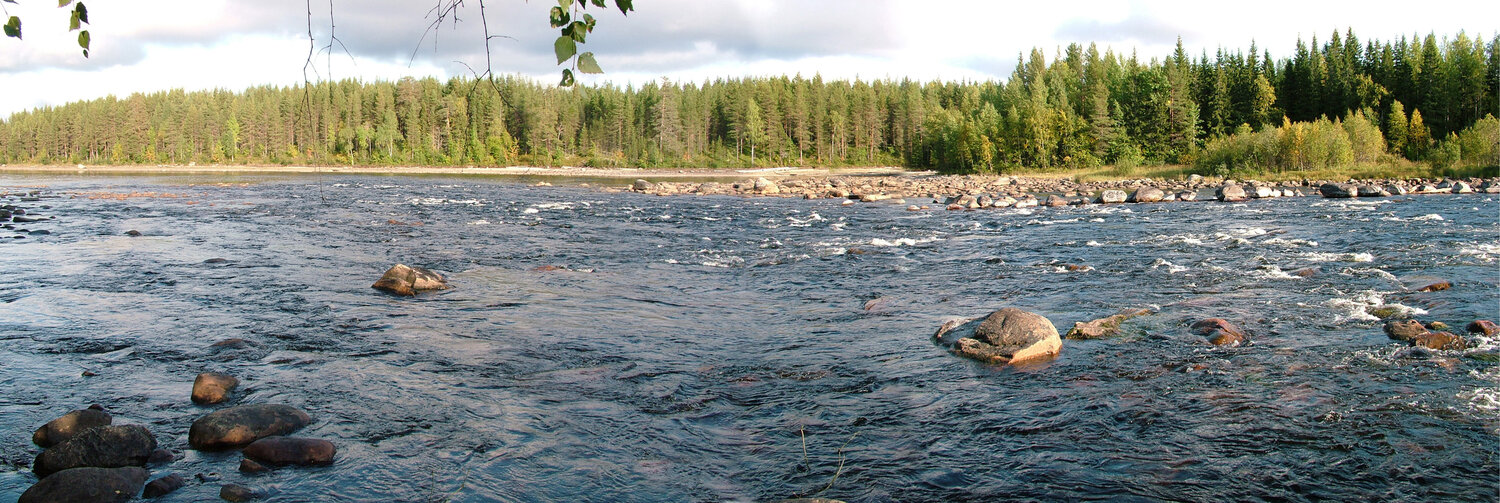 Photo #13243297