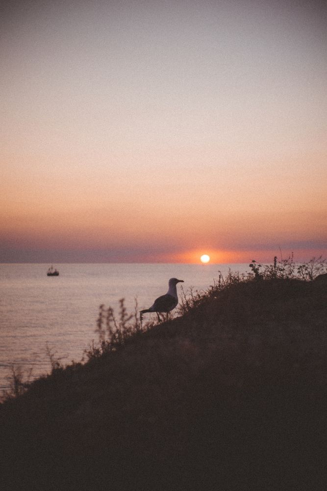 Photograph by Виктория Фирсова