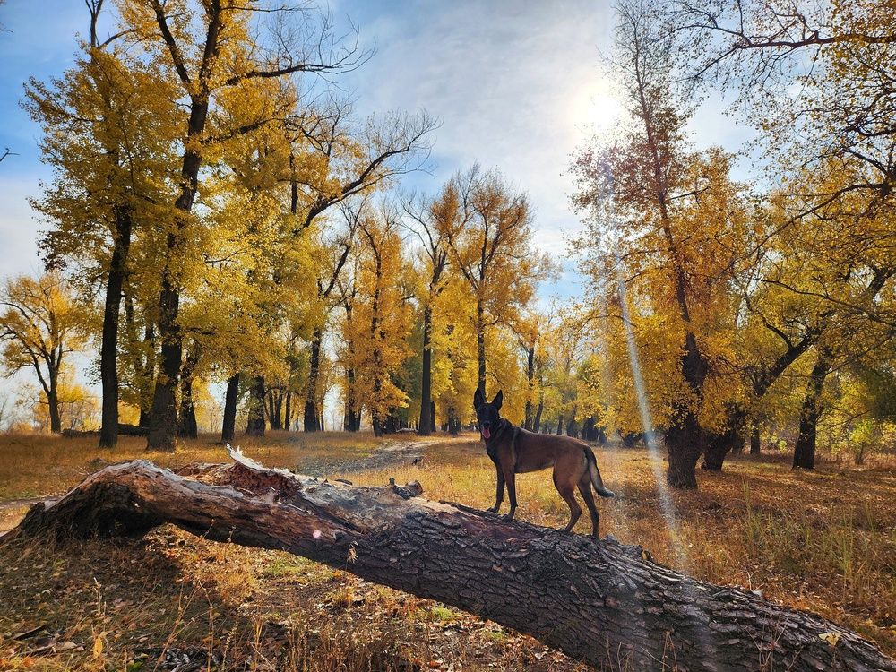 Photograph by Ирина