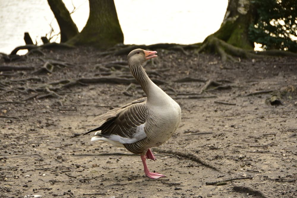 Photograph by Yuri Afanasyev