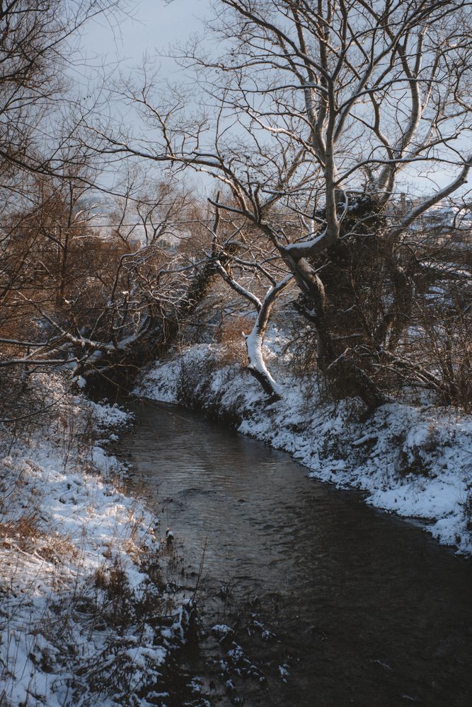 Photograph by Виктория Фирсова