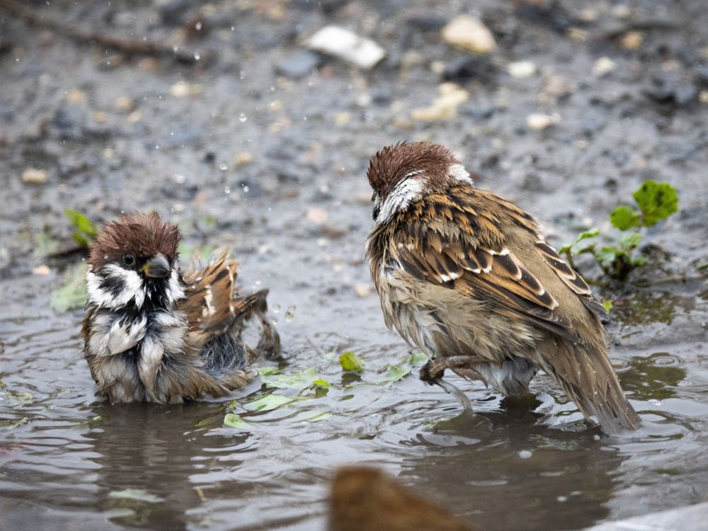 Photograph by Сергей Зорин