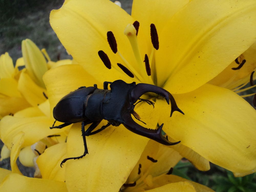 Photograph by Viktoriia Rusanova