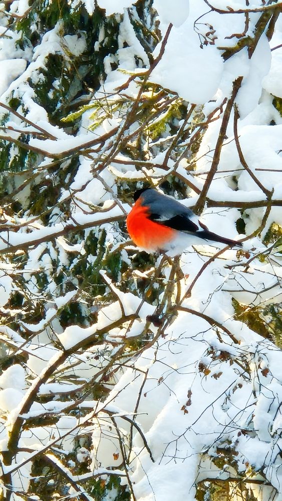 Photograph by Зимфира Хазиева