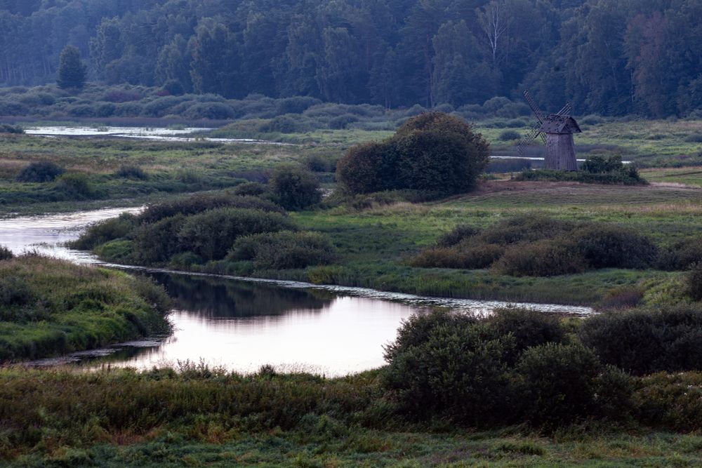 Фотография автора Одаренко Ольга
