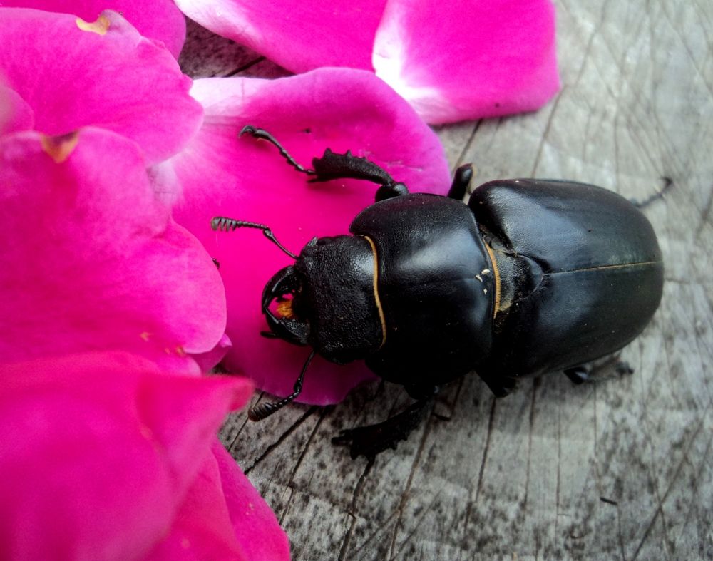 Photograph by Viktoriia Rusanova