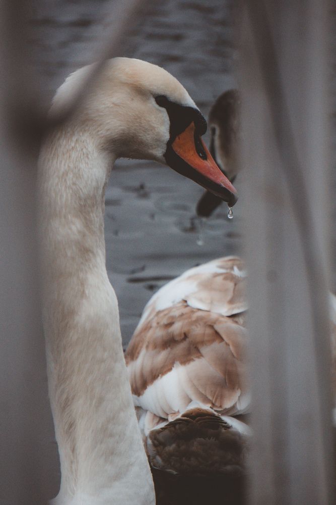 Photograph by Виктория Фирсова