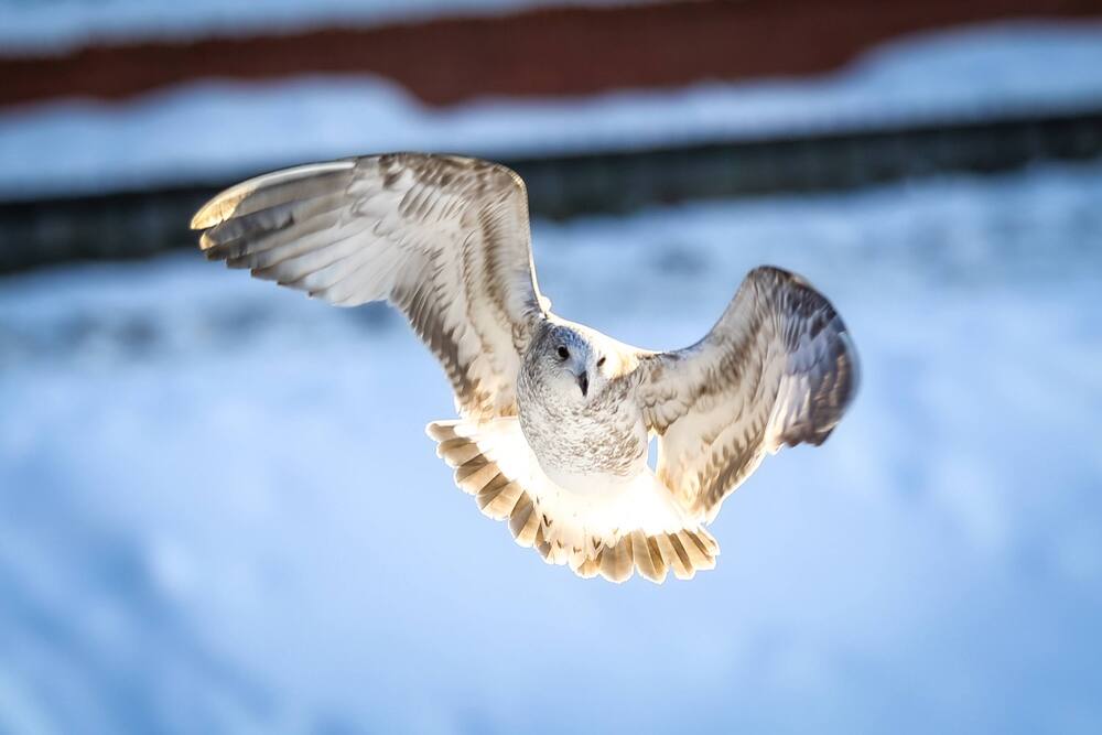 Photograph by Елена Болдырева