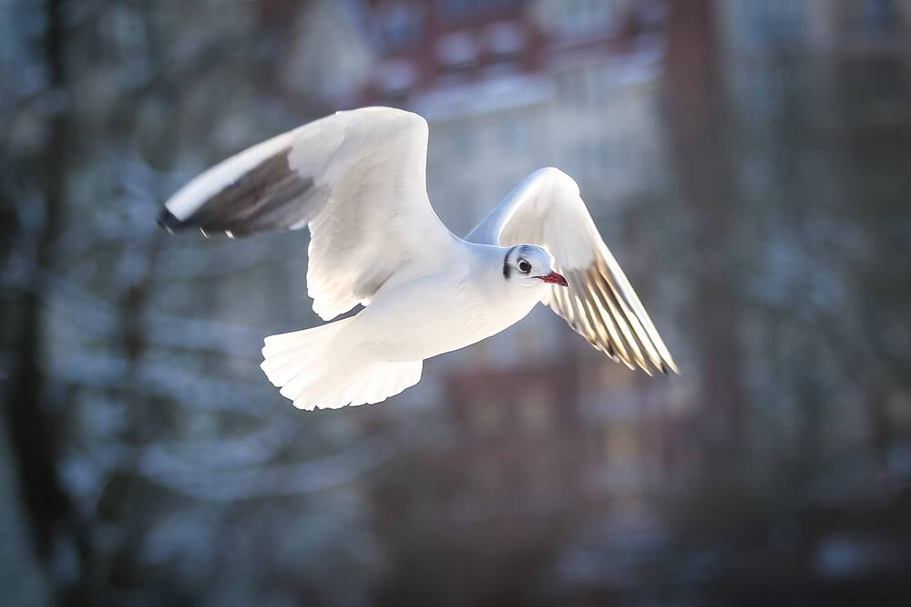 Photograph by Елена Болдырева