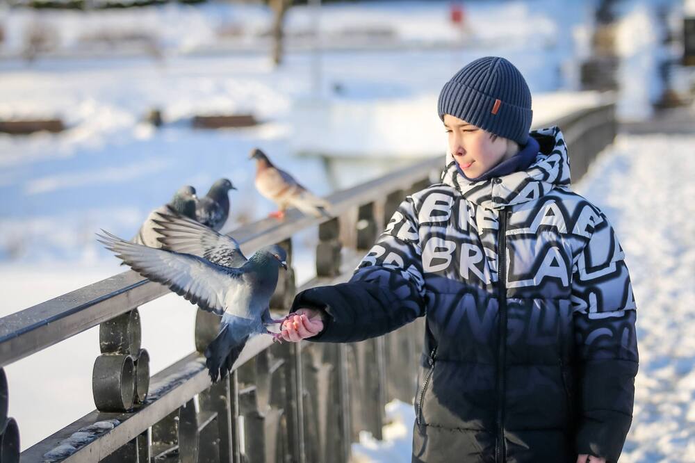 Photograph by Елена Болдырева