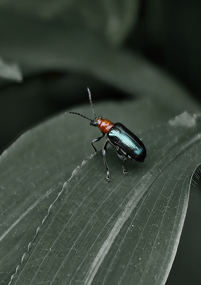 Photograph by Кристина Феминова