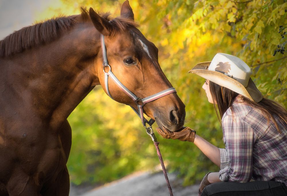 Фотография автора Теодор Василев