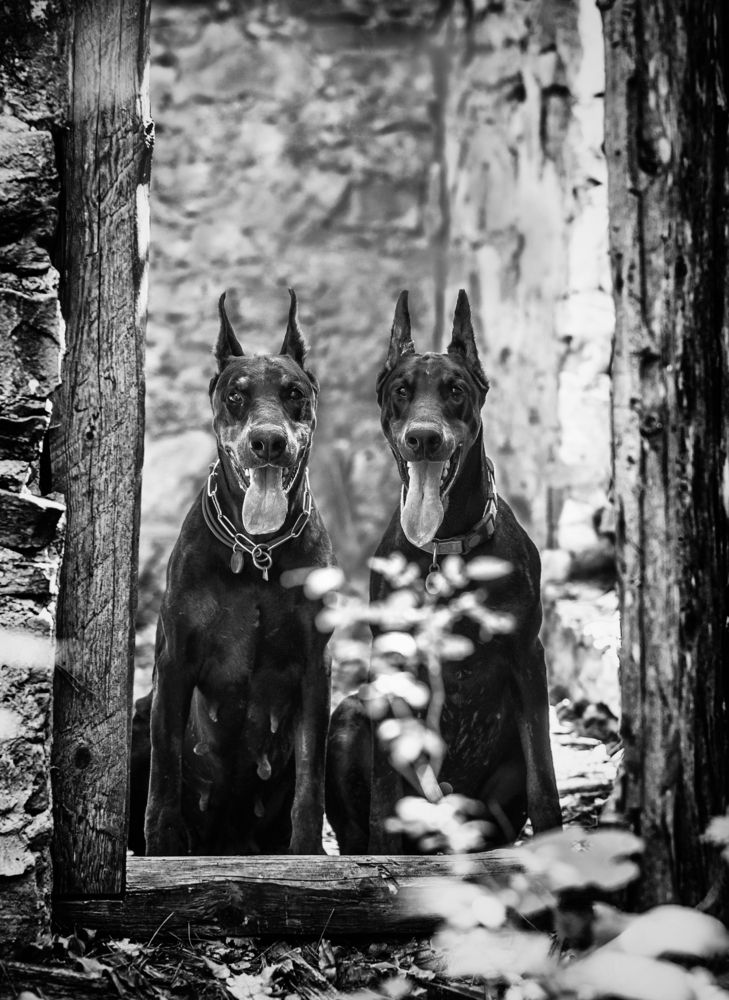 Photograph by Екатерина Лебедева