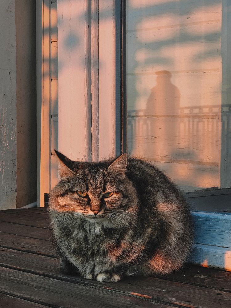 Photograph by Виктория Фирсова