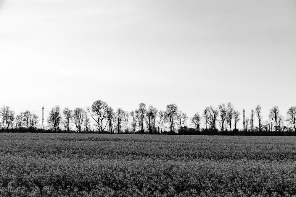 Photograph by Georgi Ivanov