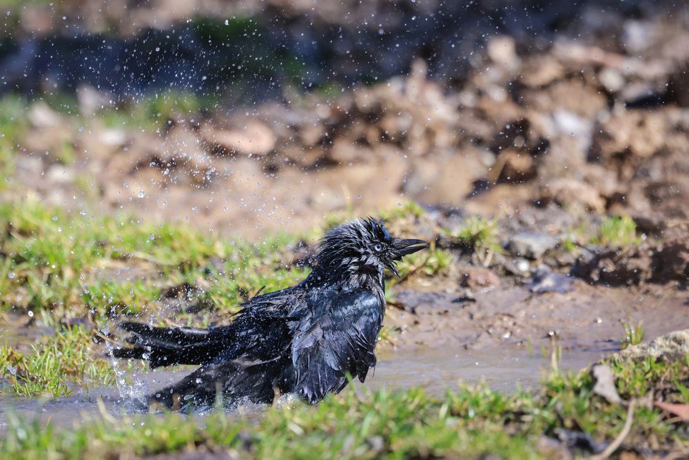 Photograph by Сергей Зорин