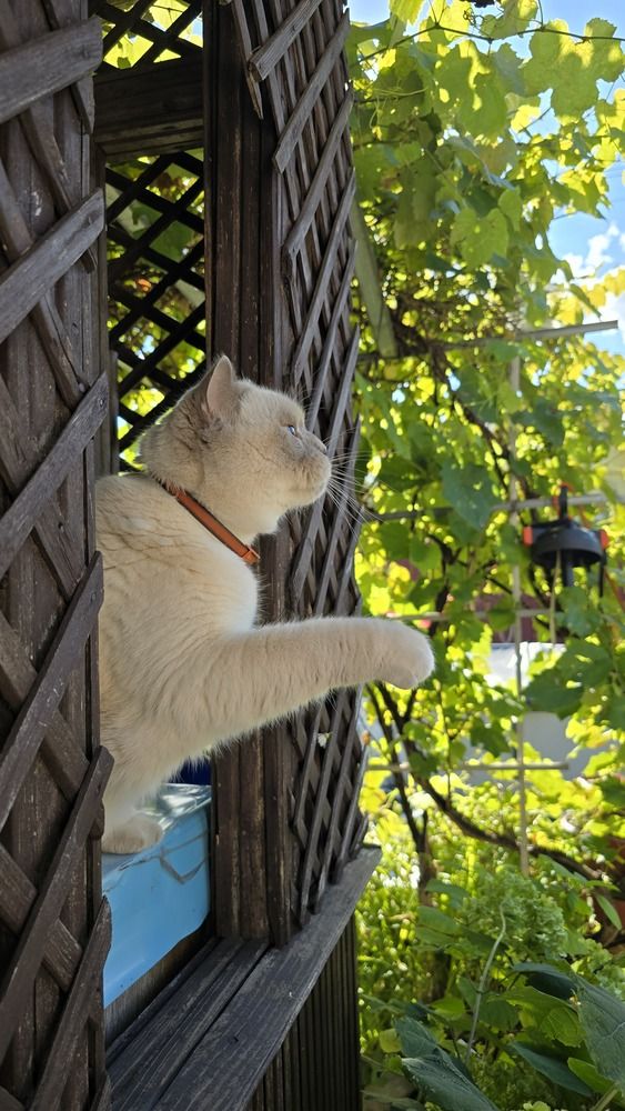 Photograph by Дарья Дреко