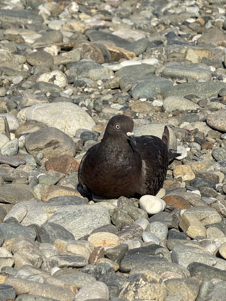 Photograph by Oksana Makrushina