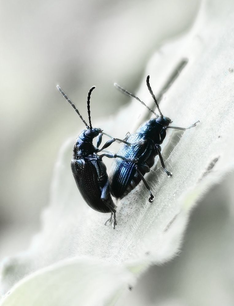 Photograph by Кристина Феминова