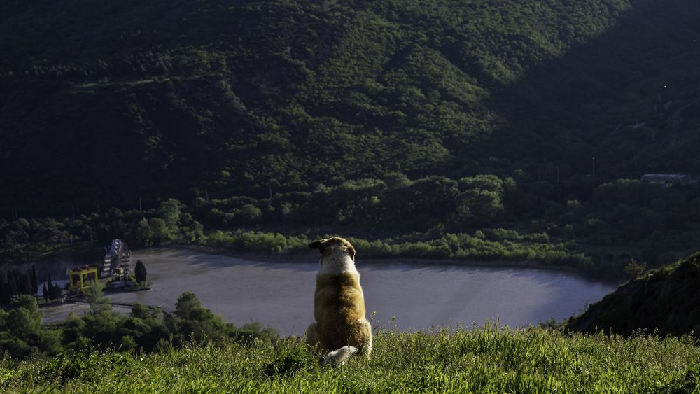 Photograph by Dimitri Bakhtadze