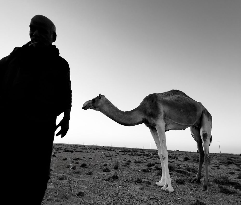 Photograph by Ahmad LOUKILI