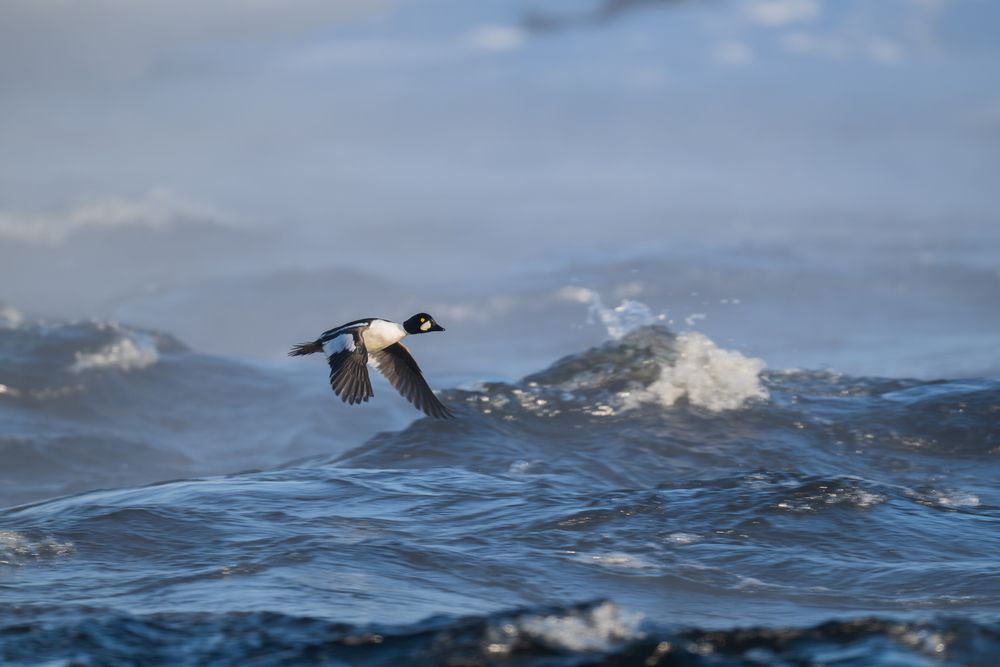 Photograph by Юрий Рыжков