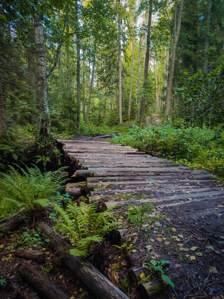 Photograph by Дмитрий Кондратьев