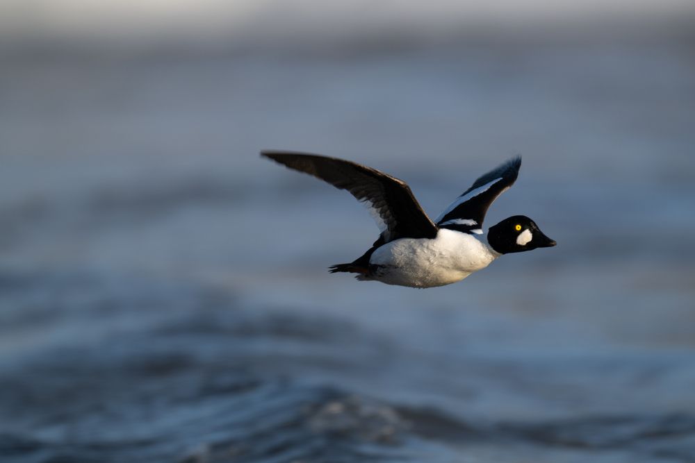 Photograph by Юрий Рыжков