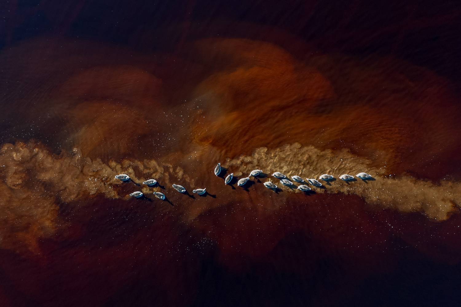 Wild geese on Mars