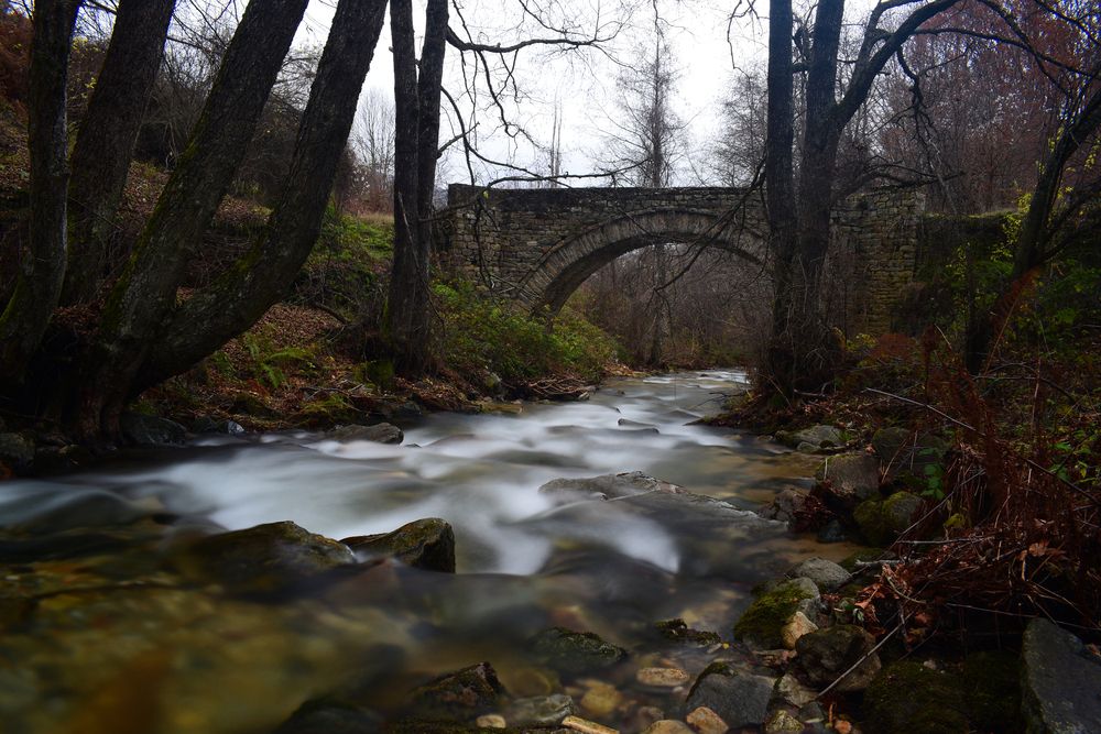 Photograph by ILIAS DIMITRIOU