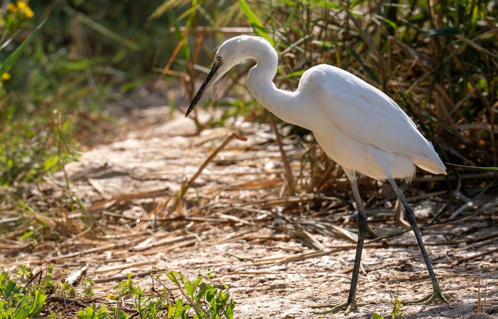 Photograph by Igor Shulkin