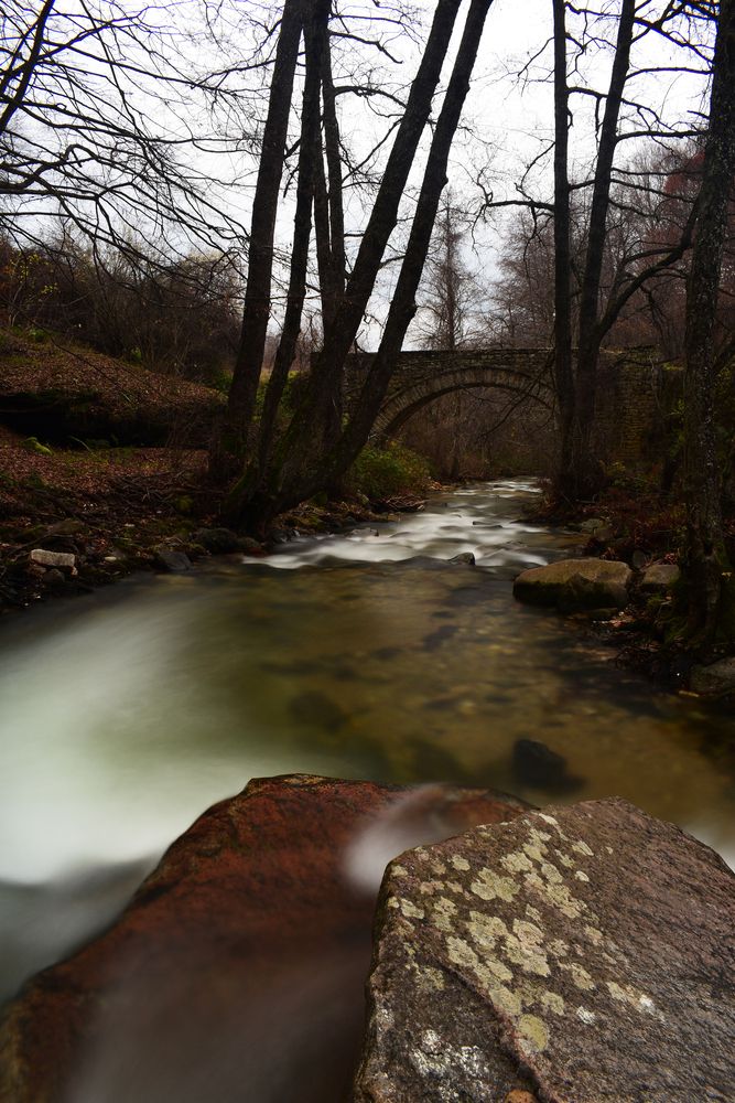 Photograph by ILIAS DIMITRIOU
